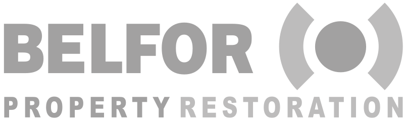 Logo Belfor